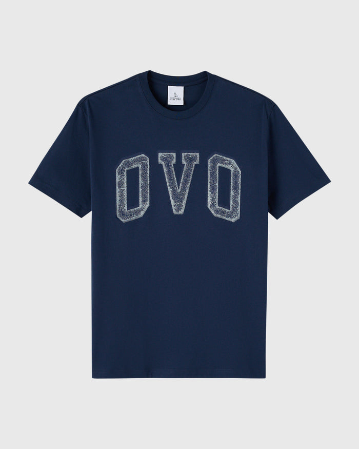 Royal navy t-shirt with gray distressed arch lettering on chest.