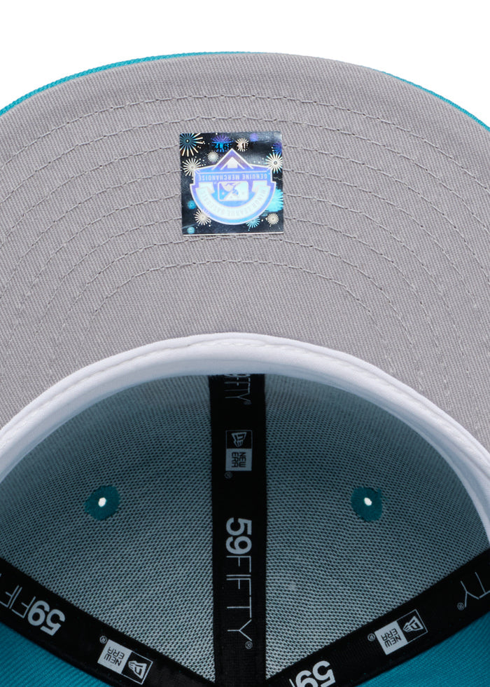 Winnipeg Whips All Turquoise MiLB